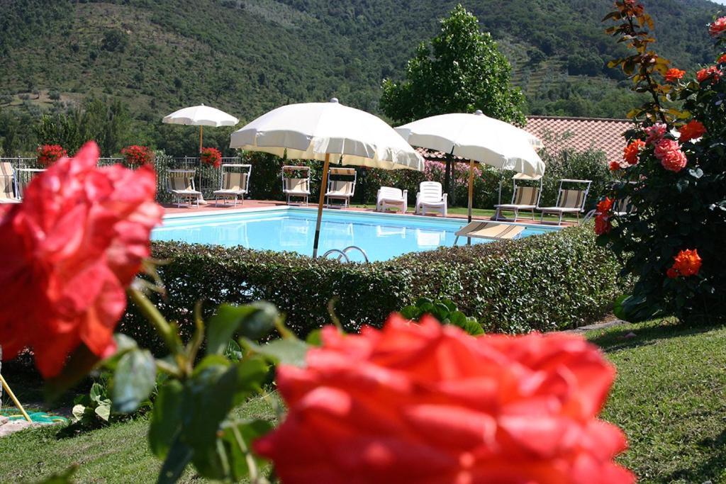 Agriturismo Cortoreggio Кортона Екстериор снимка