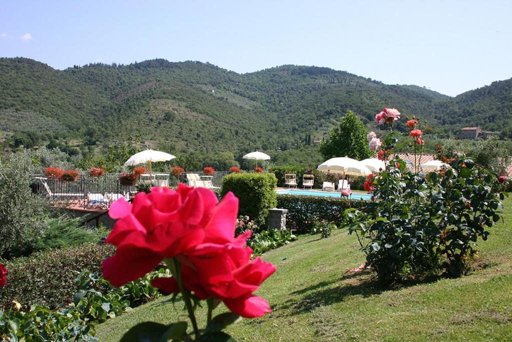 Agriturismo Cortoreggio Кортона Екстериор снимка