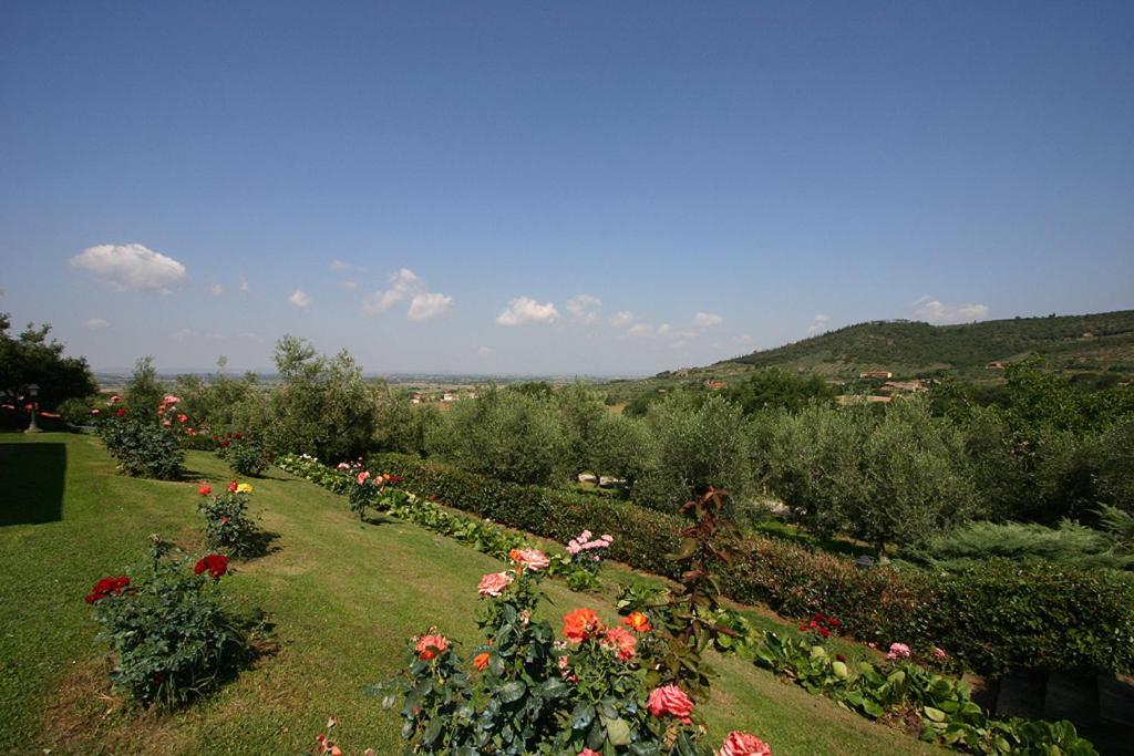 Agriturismo Cortoreggio Кортона Екстериор снимка