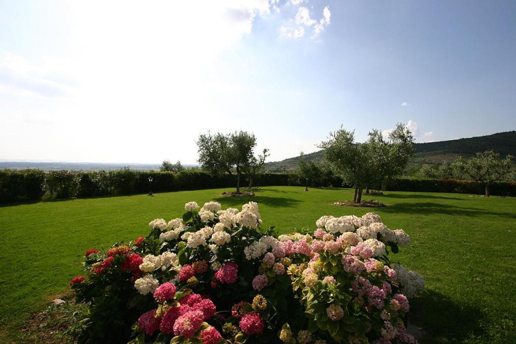 Agriturismo Cortoreggio Кортона Екстериор снимка