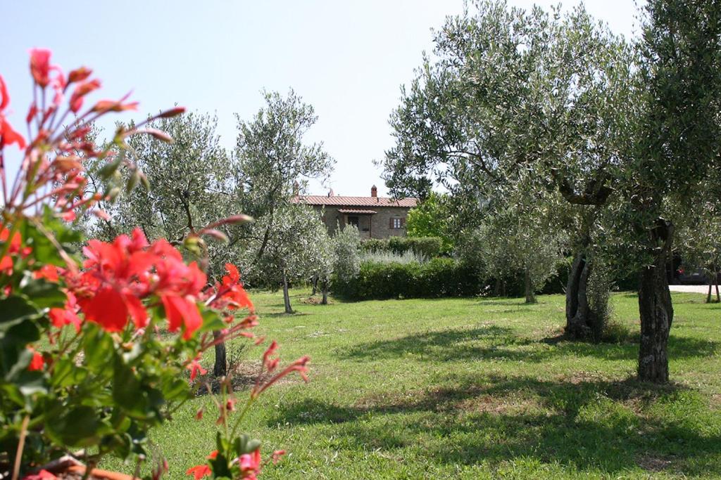 Agriturismo Cortoreggio Кортона Екстериор снимка
