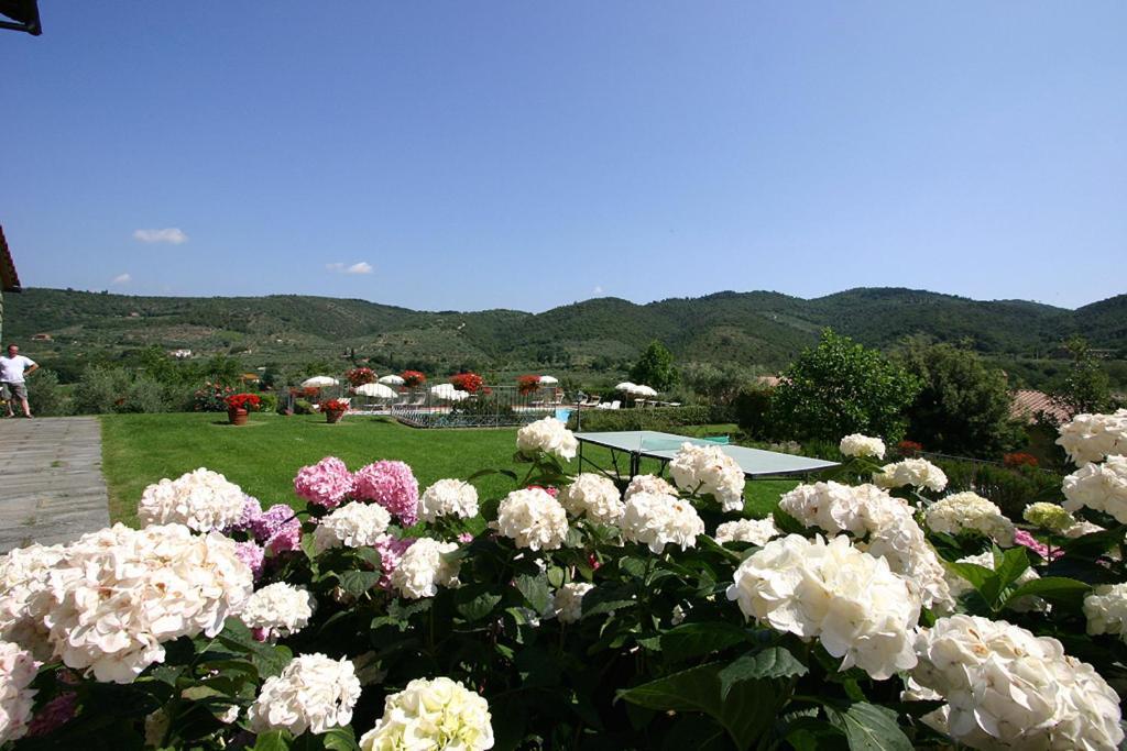 Agriturismo Cortoreggio Кортона Екстериор снимка
